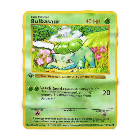 Plant a seed on the back of garden or nature dinosaur plant monster in the grass Custom Pokemon pocket monster cover thick warm decor