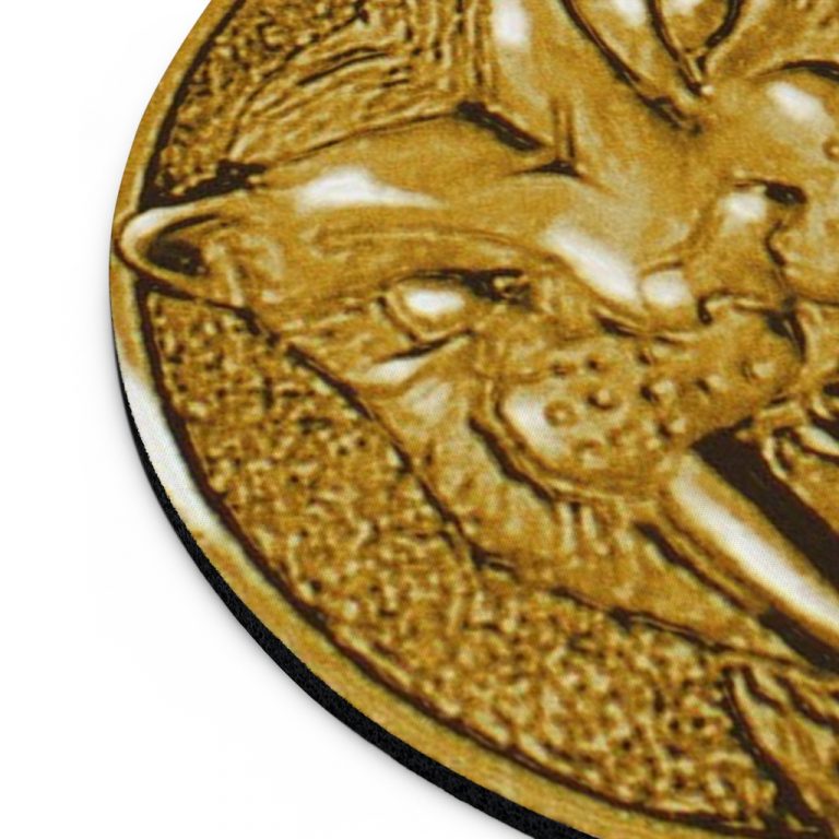 Mighty-Morphing-Power-Rangers-Asian-Woman-Yellow-Trini-Kwan-Aisha-Campbell-Toothed-Tiger-Coin-Yellow-ranger-Black-Woman-Woman-Hero-Saber-Toothed-Tiger-Power-Coin-Tigers